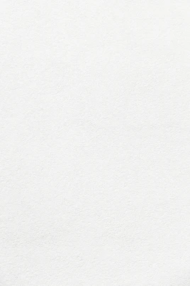 white wall paint with black line