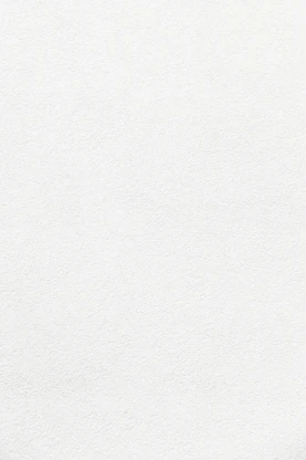 white wall paint with black line