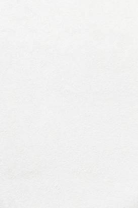 white wall paint with black line