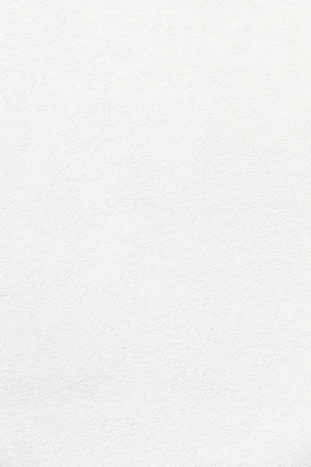 white wall paint with black line