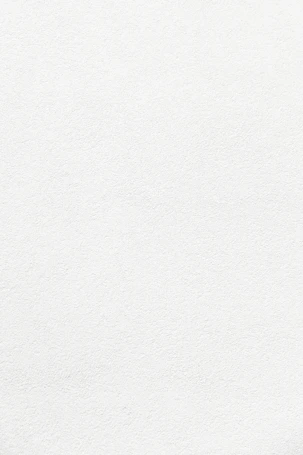 plain white textured plaster surface