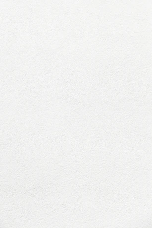 plain white textured plaster surface
