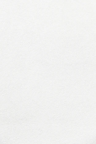 white wall paint with black line