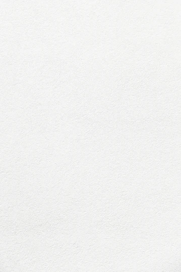 white wall paint with black line