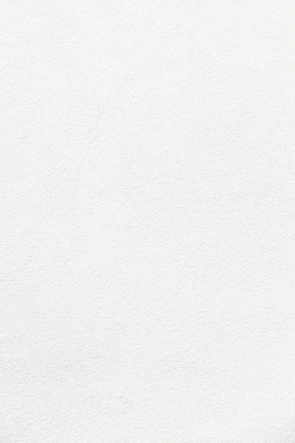 white wall paint with black line