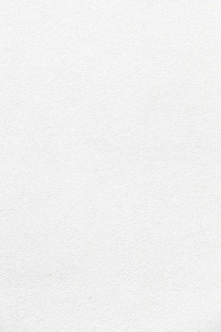 plain white textured plaster surface