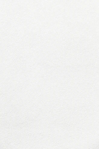 plain white textured plaster surface