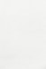 white wall paint with black line