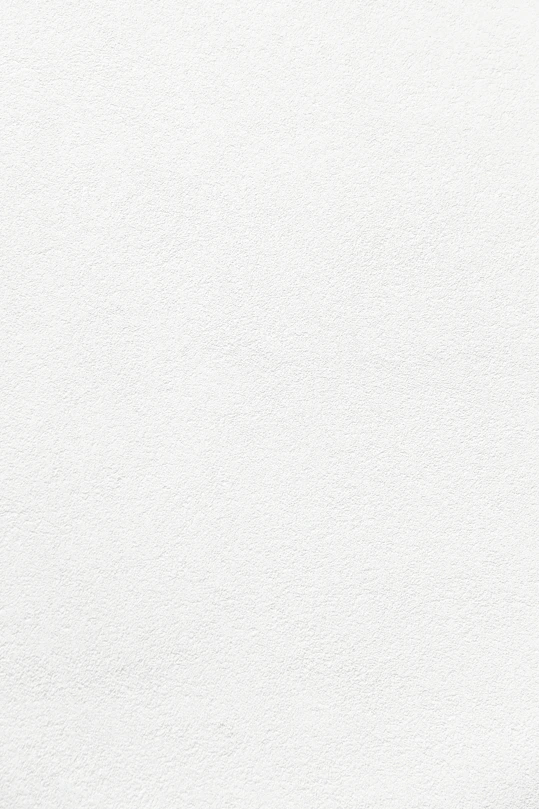 plain white textured plaster surface