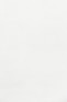 white wall paint with black line