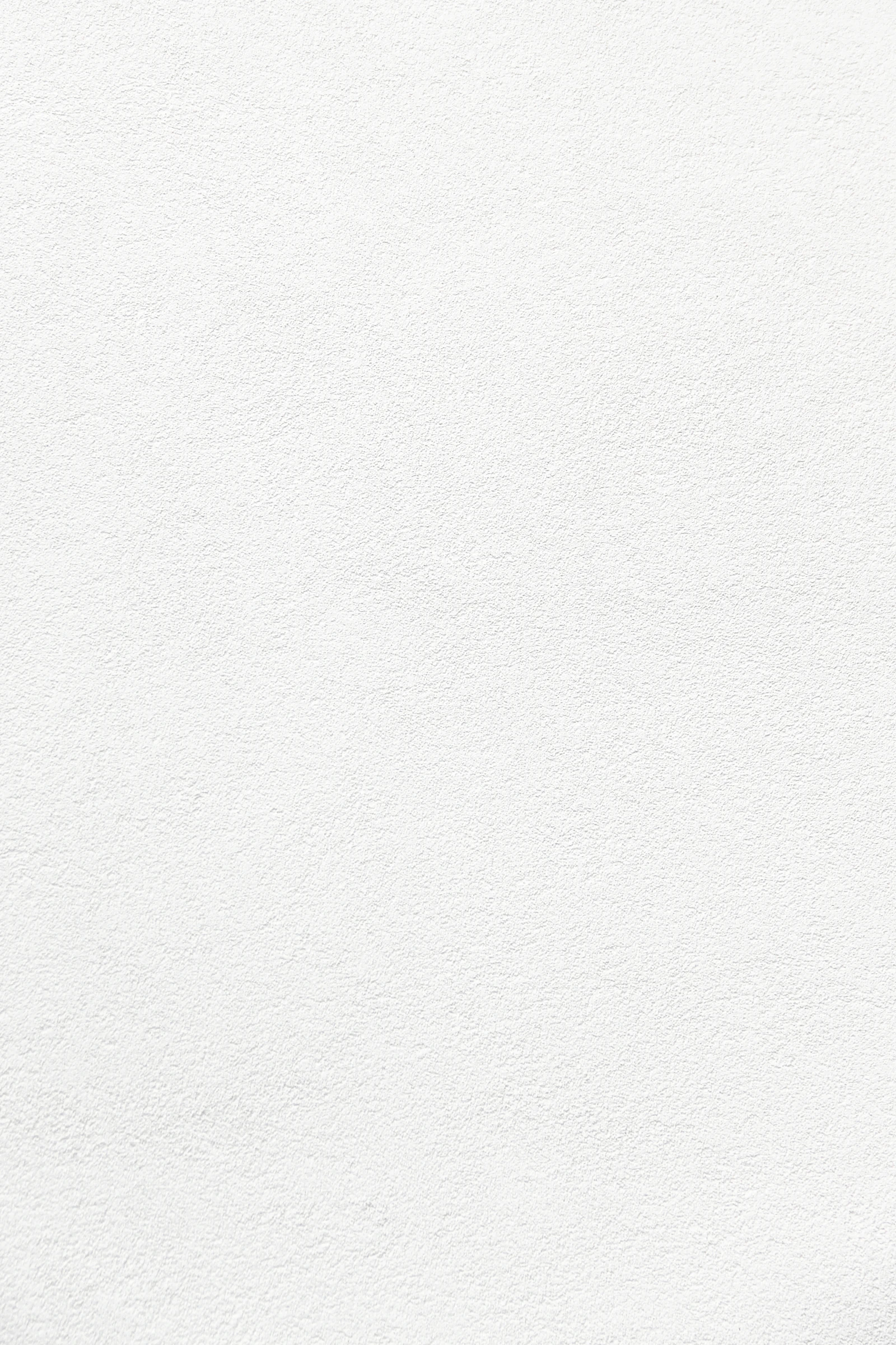 Acacia Lounge Logo Wall