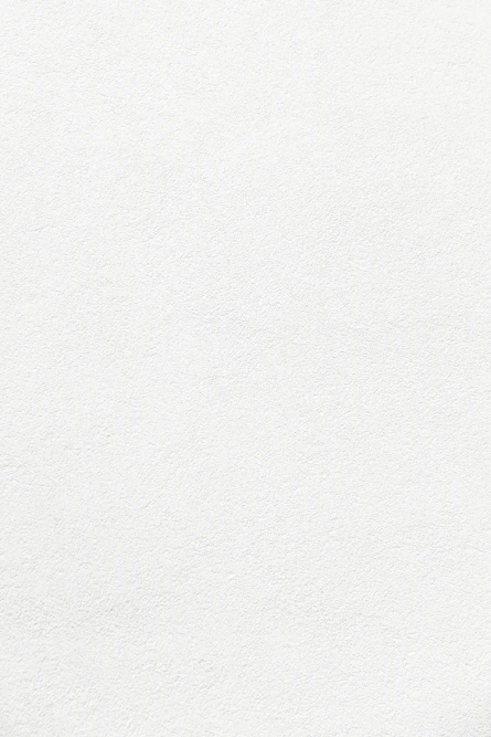 white wall paint with black line