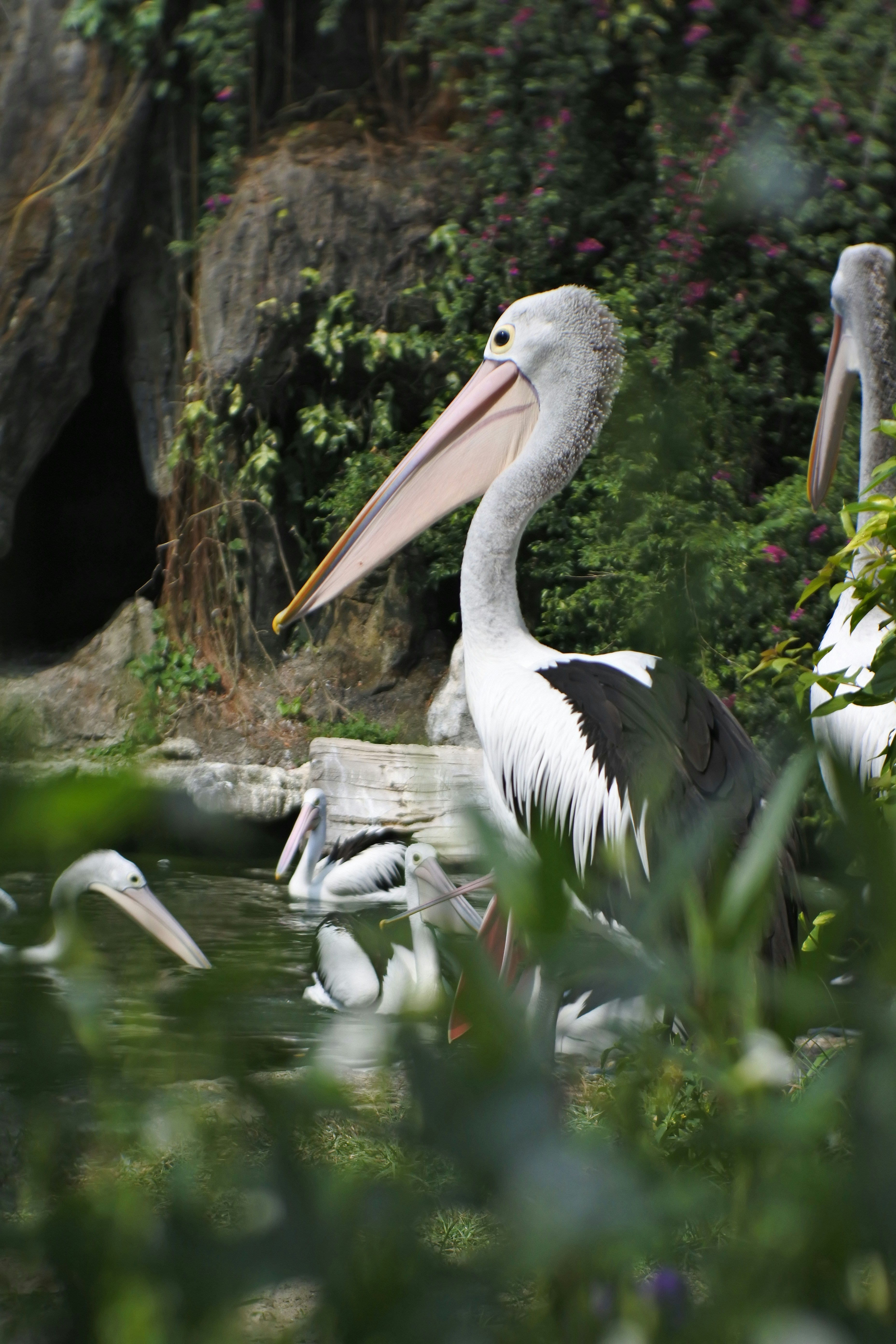 Photo by sachi_202020