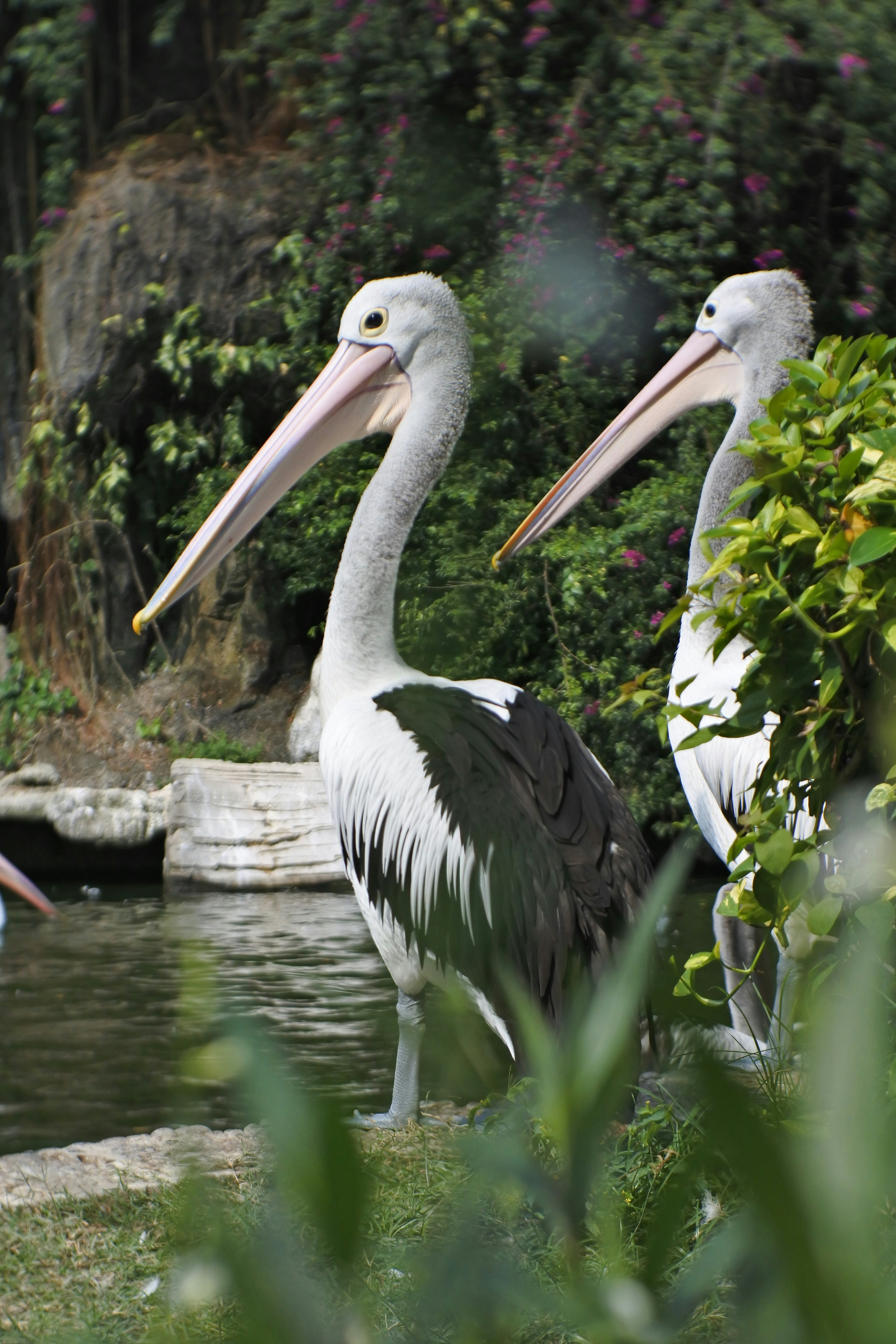 Photo by sachi_202020