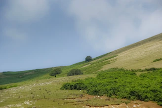 Photo of a green, gently sloping land parcel with trees along the edges under a clear sky.