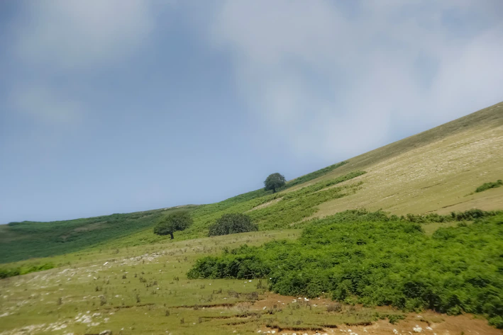 Photo of a green, gently sloping land parcel with trees along the edges under a clear sky.