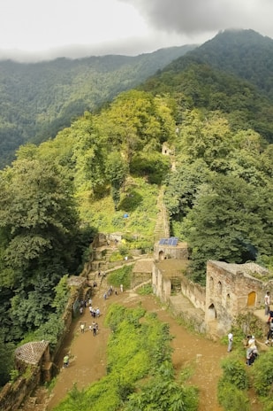 Explorers trekking through a lush, blocky forest landscape filled with mysterious ruins.