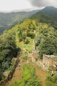 A lush, green forest landscape with ancient ruins blending into the natural scenery. Stone walls, pathways, and scattered remains of buildings are partially covered by vegetation, suggesting a historical site reclaimed by nature. A group of people can be seen exploring the area, adding life to the serene, overgrown setting. Dense forested mountains are visible in the background under a cloudy sky.