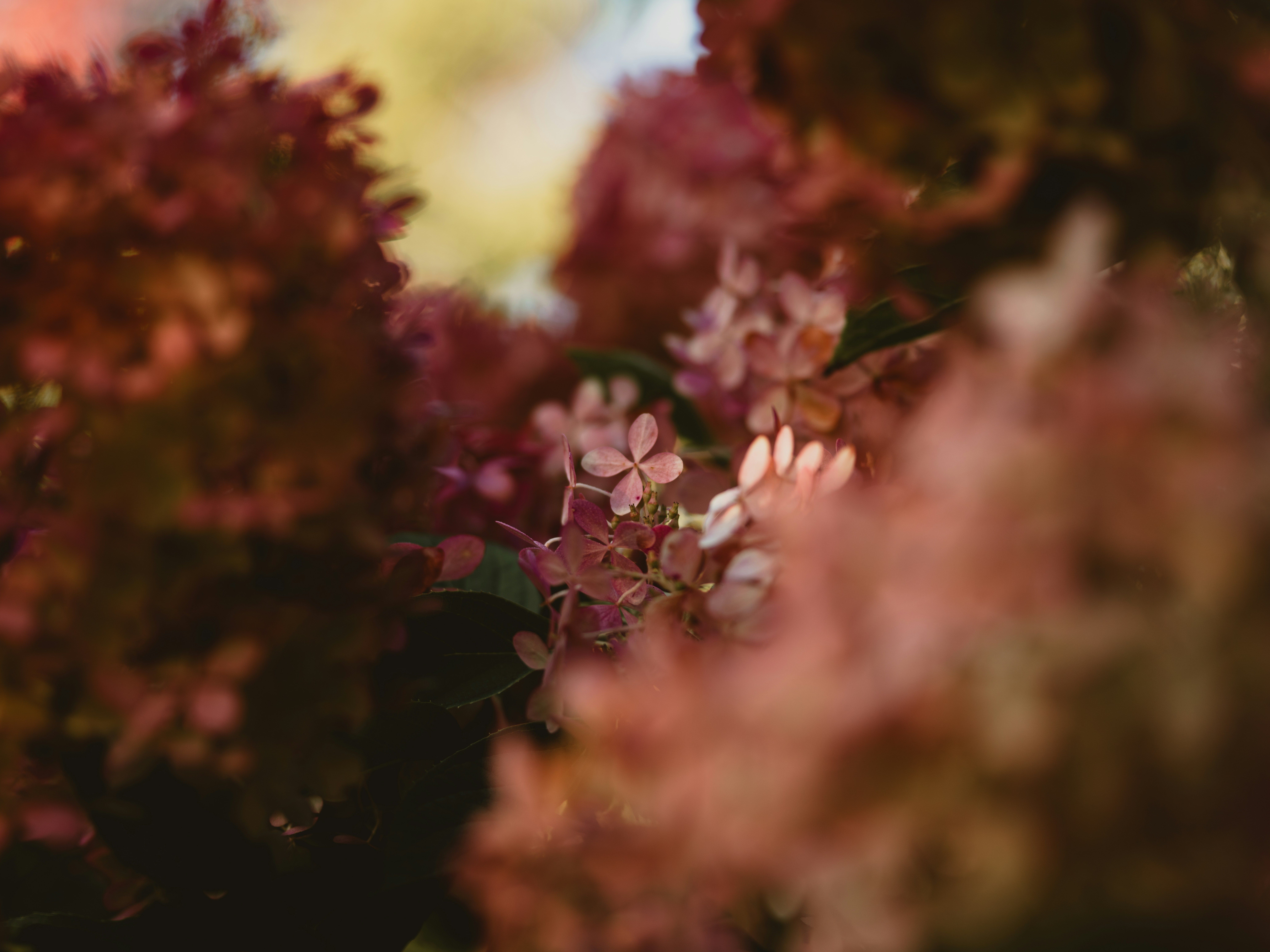 Photo by anniespratt