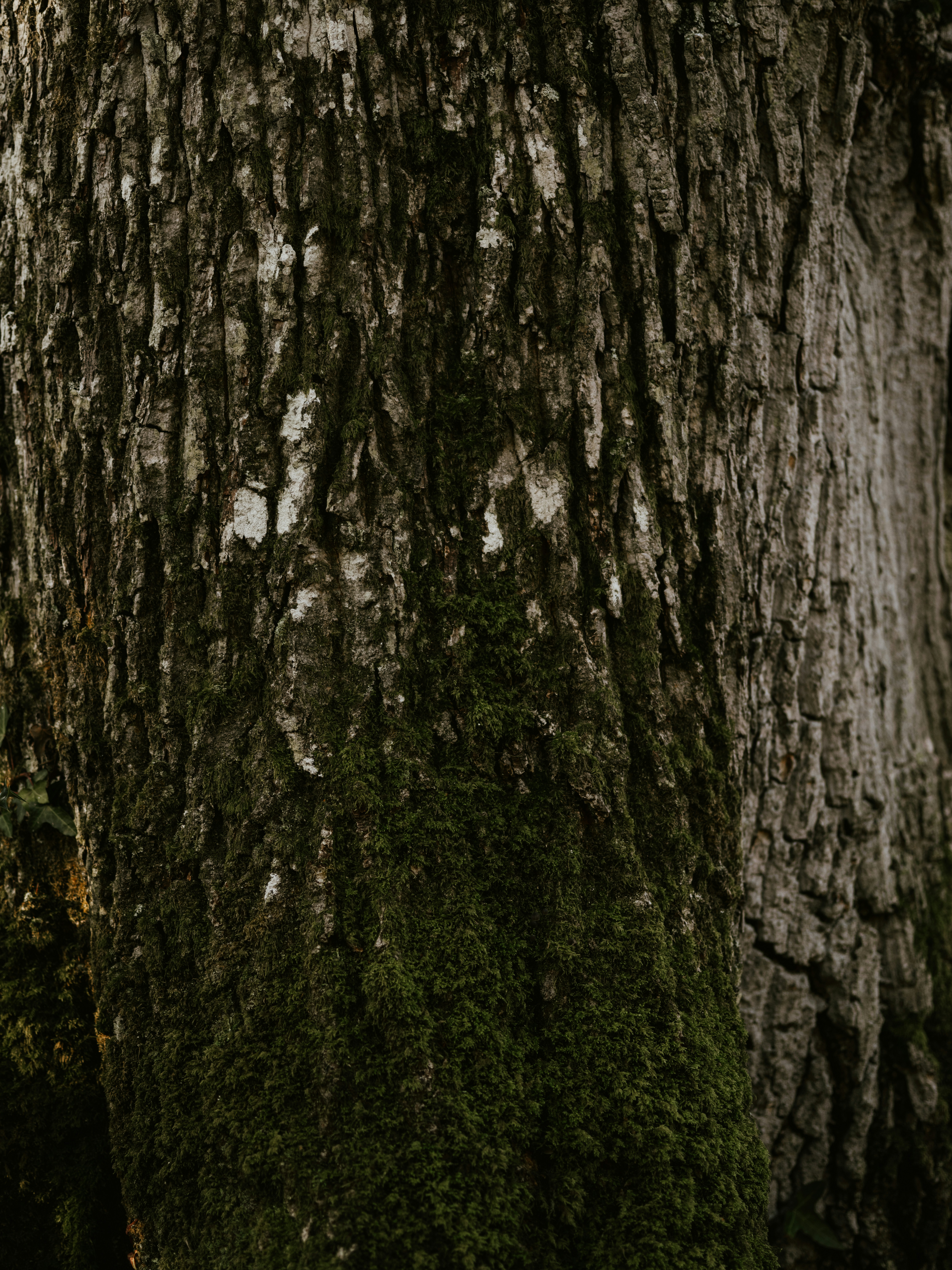 Photo by anniespratt