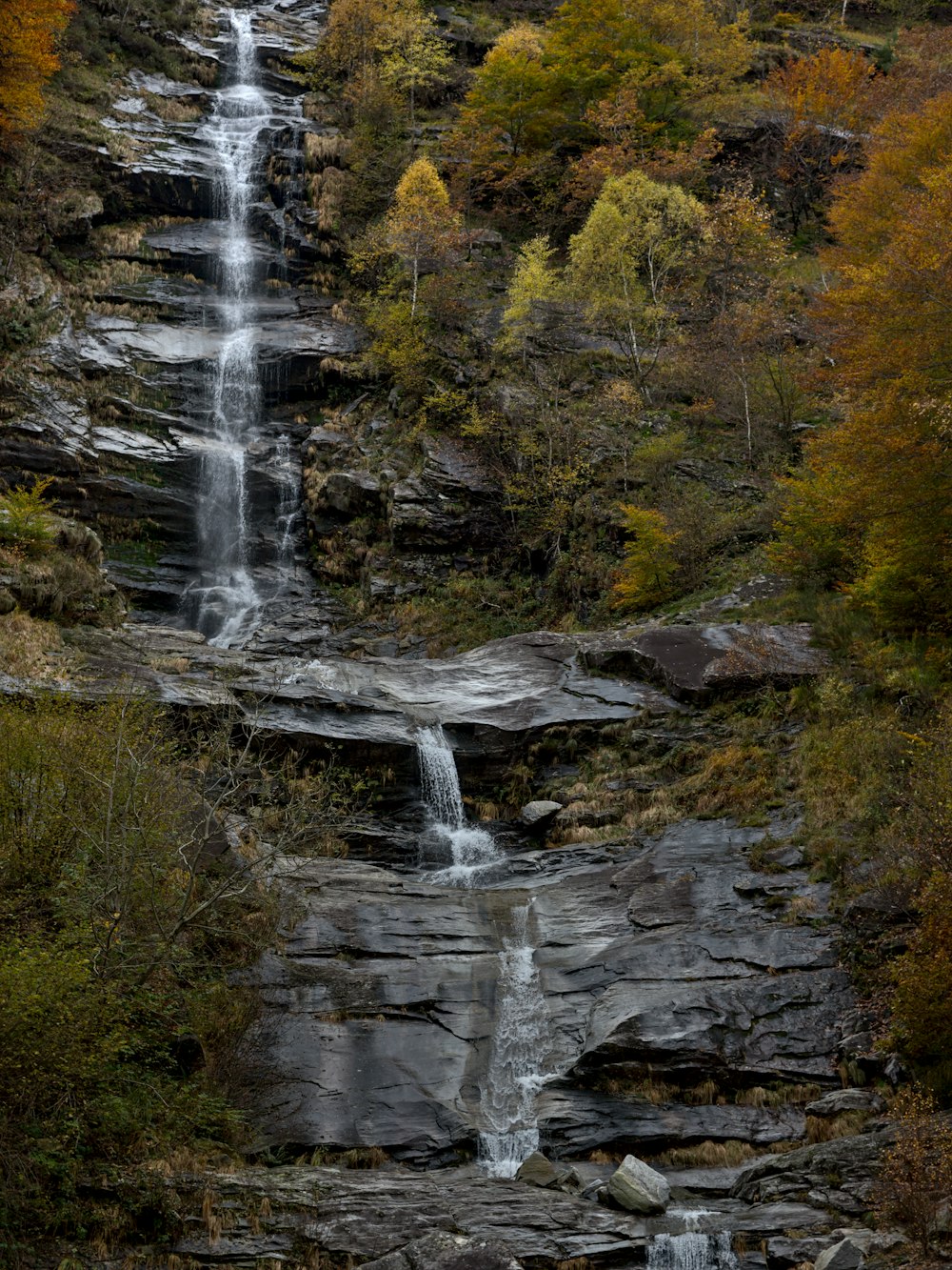 waterfalls in the middle of forest during daytime