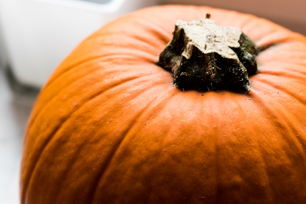 orange pumpkin on white table