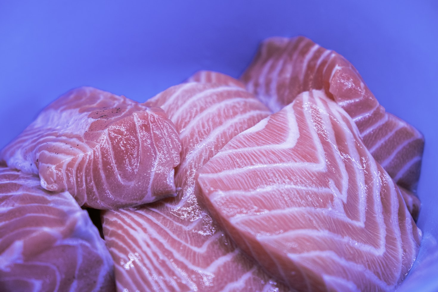 image of raw salmon