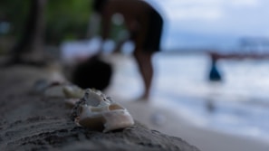 Close-up of sandals surrounded by seashells and beach accessories.