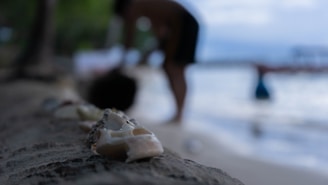 Close-up of sandals surrounded by seashells and beach accessories.
