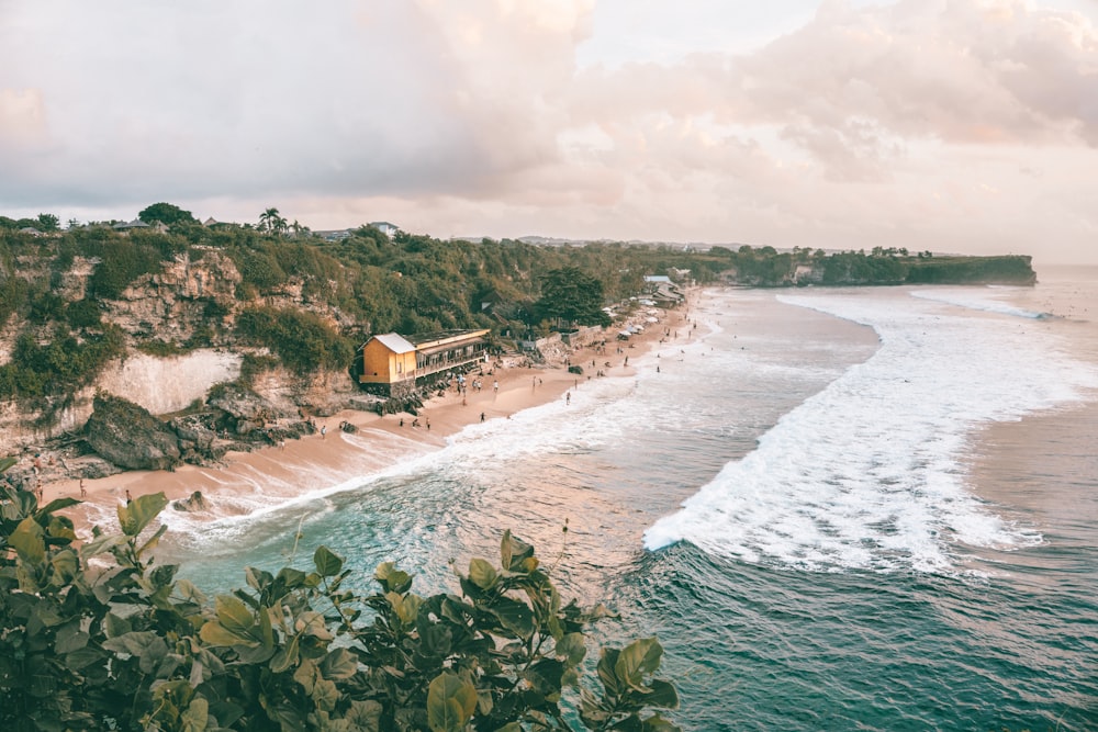 people on beach during daytime