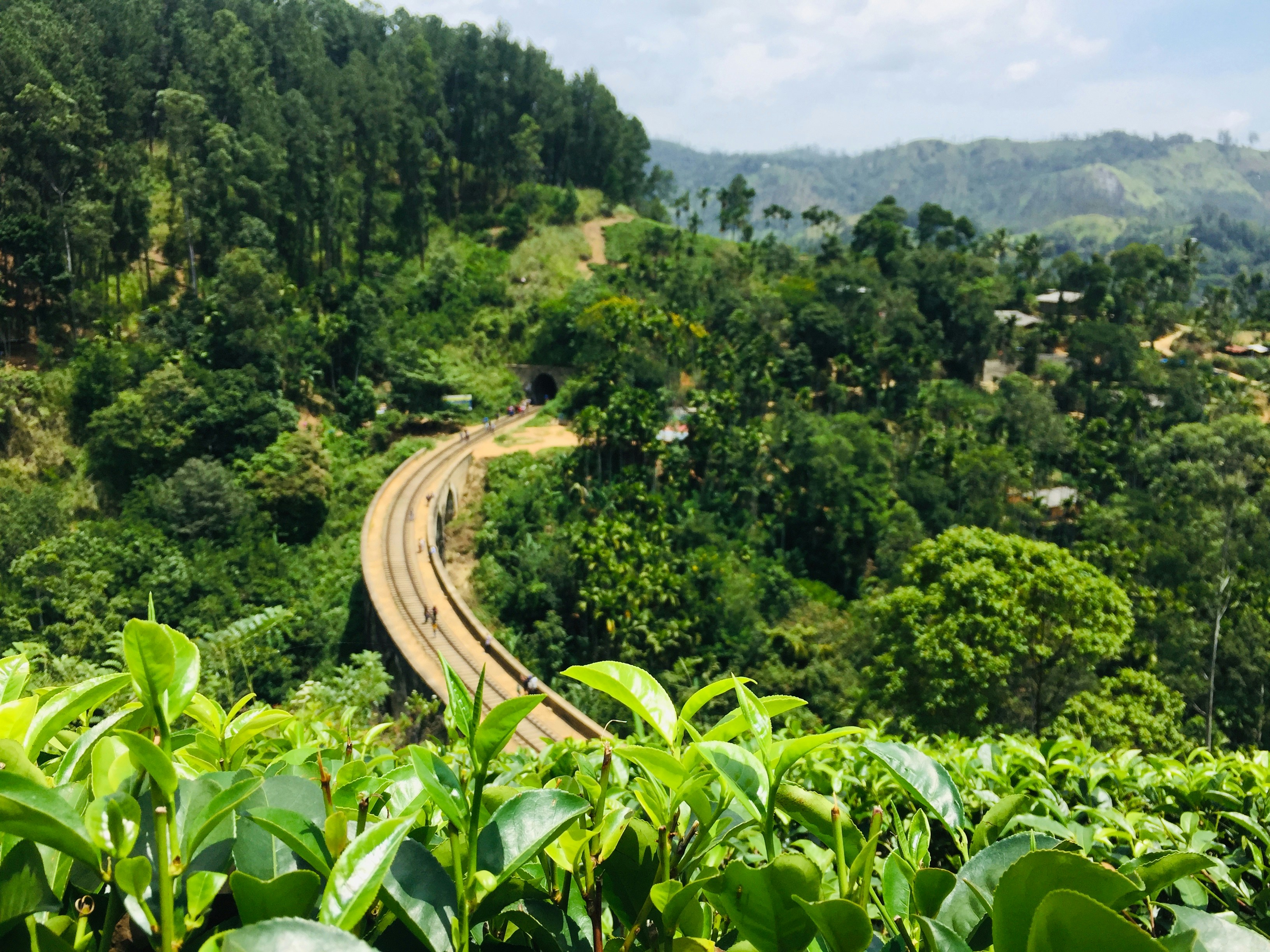 Nine Arch Bridge Ella Sri Lanka, colonial viaduct surrounded by green tea estate hills, misty morning