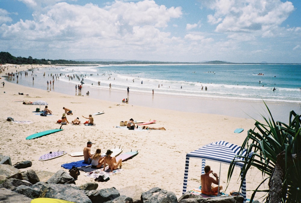 people on beach during daytime