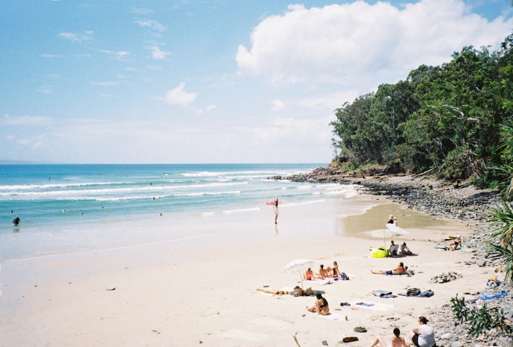 people on beach during daytime