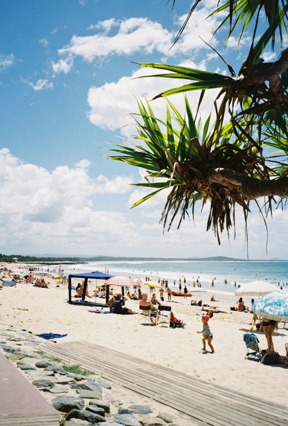 Gente en la playa durante el día