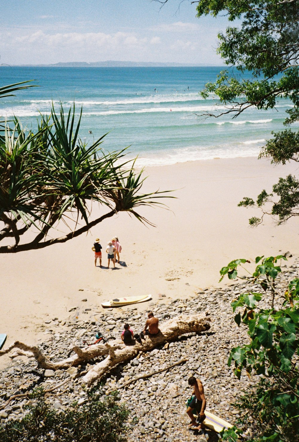 people on beach during daytime