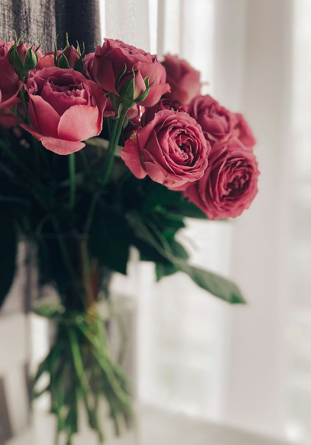 pink roses in tilt shift lens