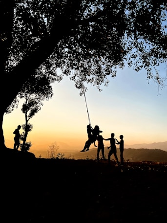 silhouette of people on swing under tree during sunset