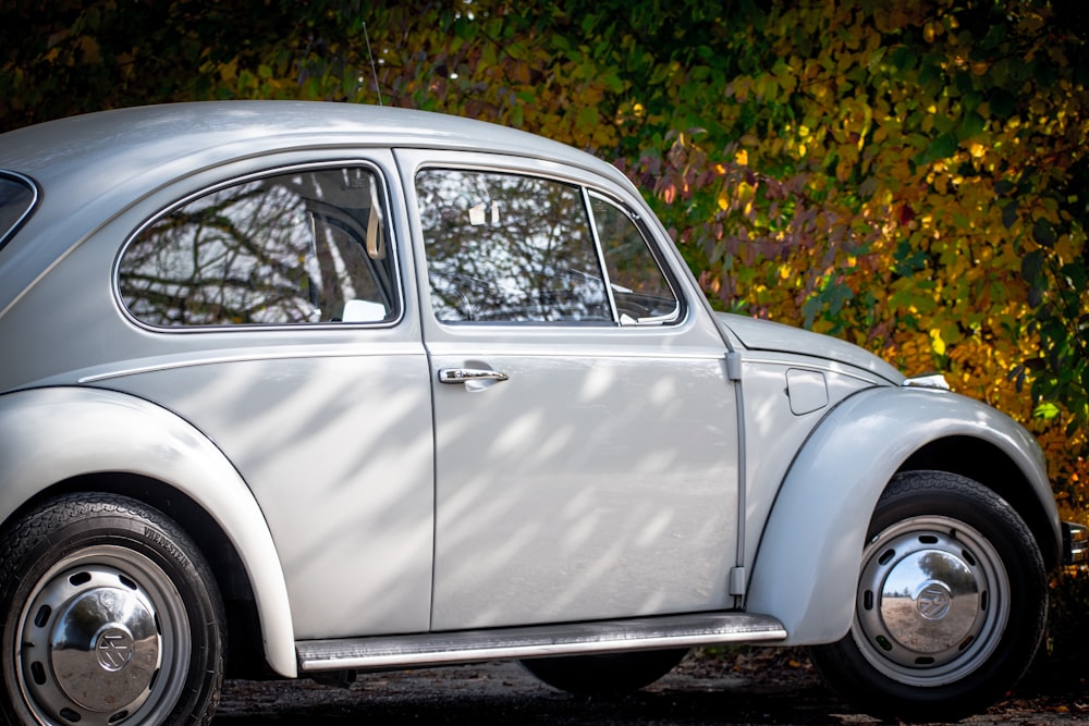 grey car parked near green and brown leaves