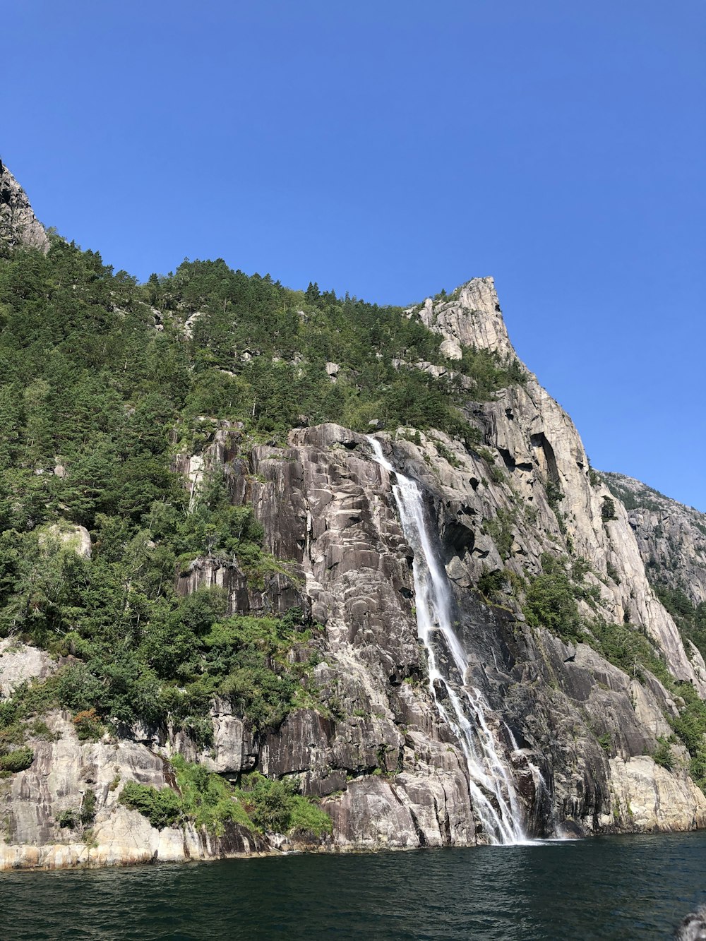 green trees on rocky mountain under blue sky during daytime