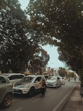 Friendly driver greeting a female passenger at a popular location in Al-Hofuf.