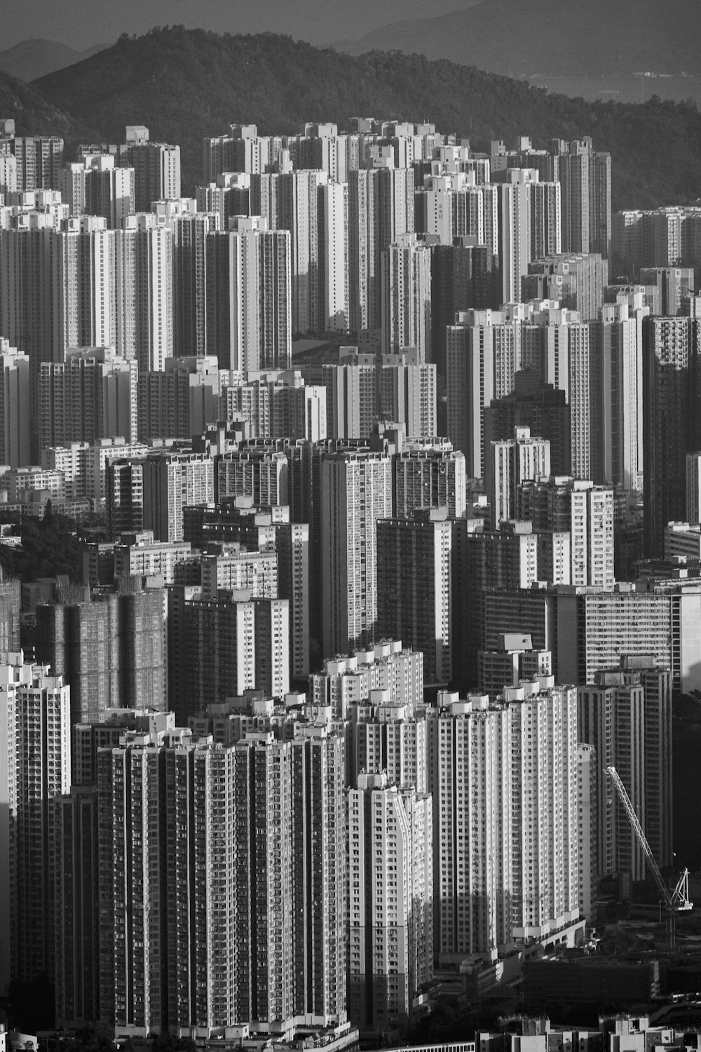 grayscale photo of city buildings