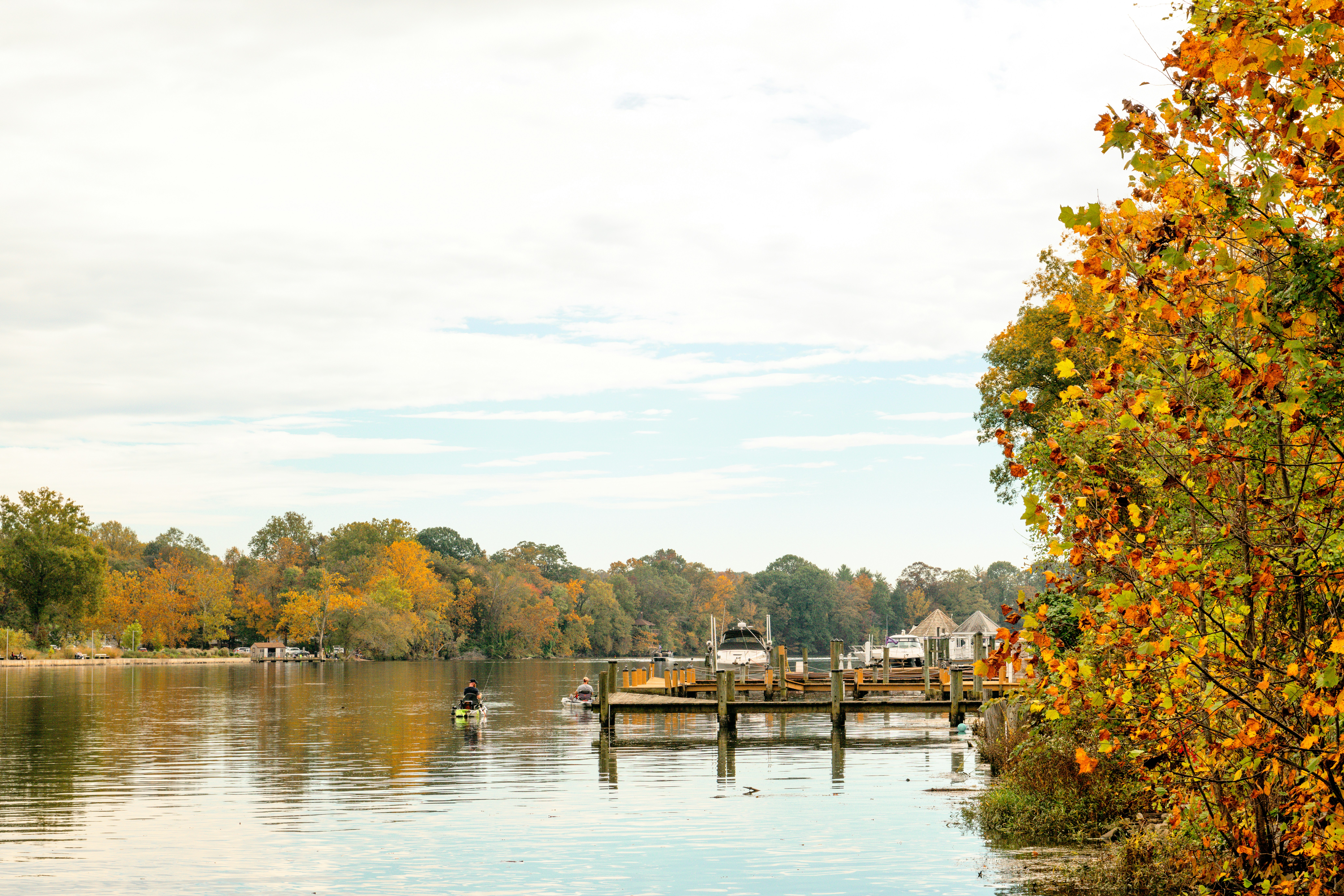 Photo by sriniunsplash