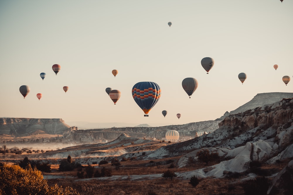 hot air balloons in the sky during daytime