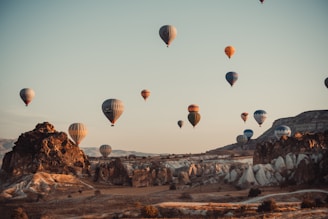 hot air balloons in the sky during daytime