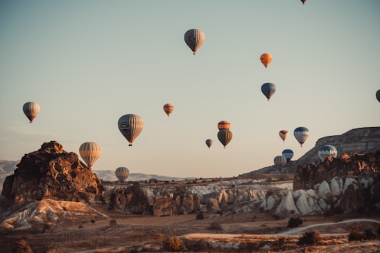 hot air balloons in the sky during daytime