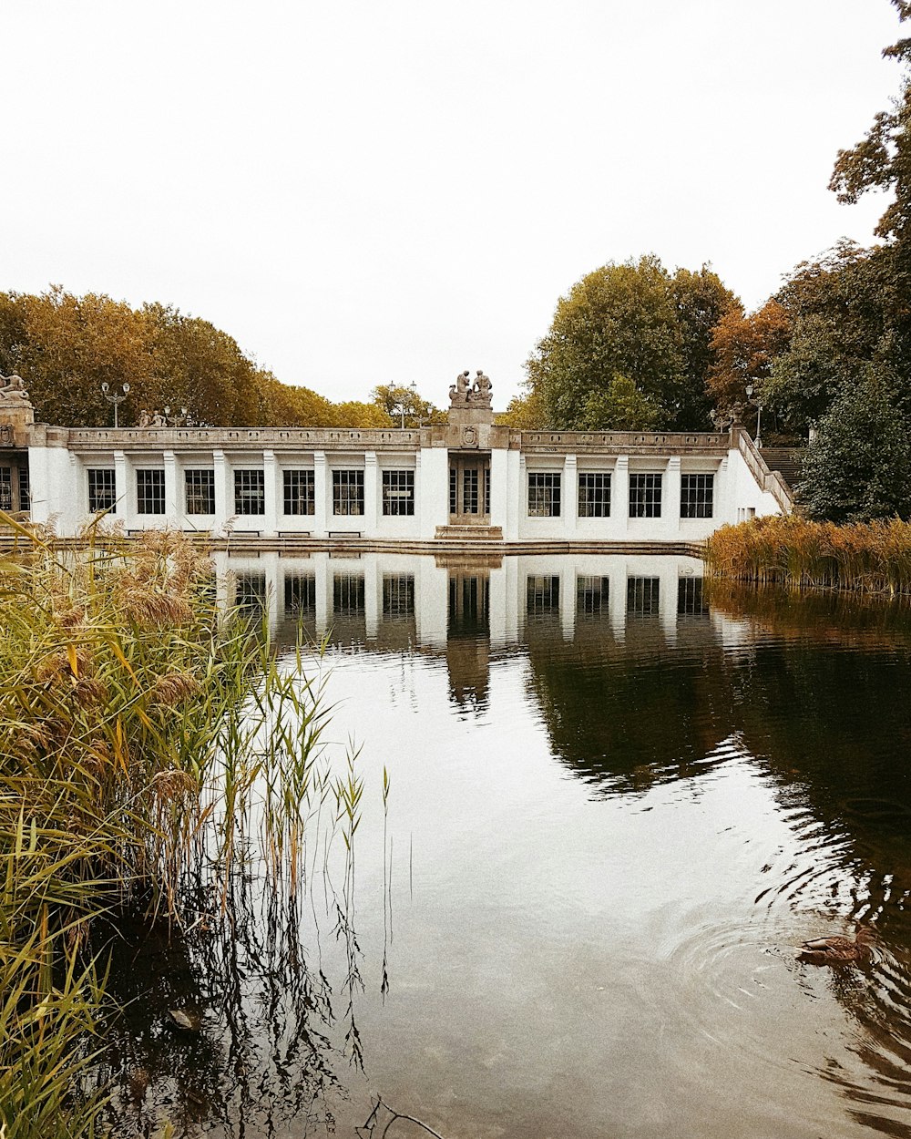 Bâtiment en béton blanc près des arbres verts et de la rivière pendant la journée