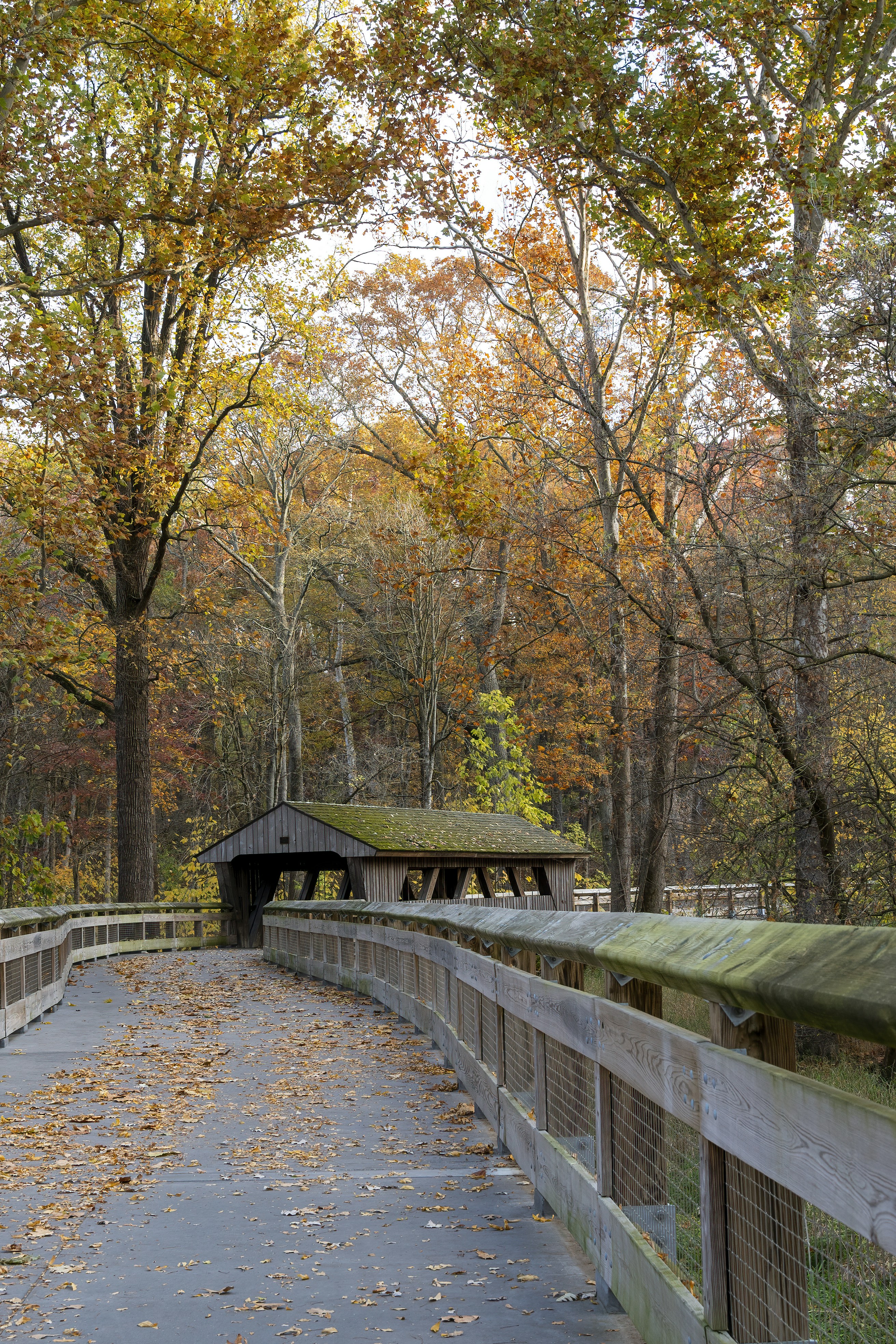 Photo by cholewinski