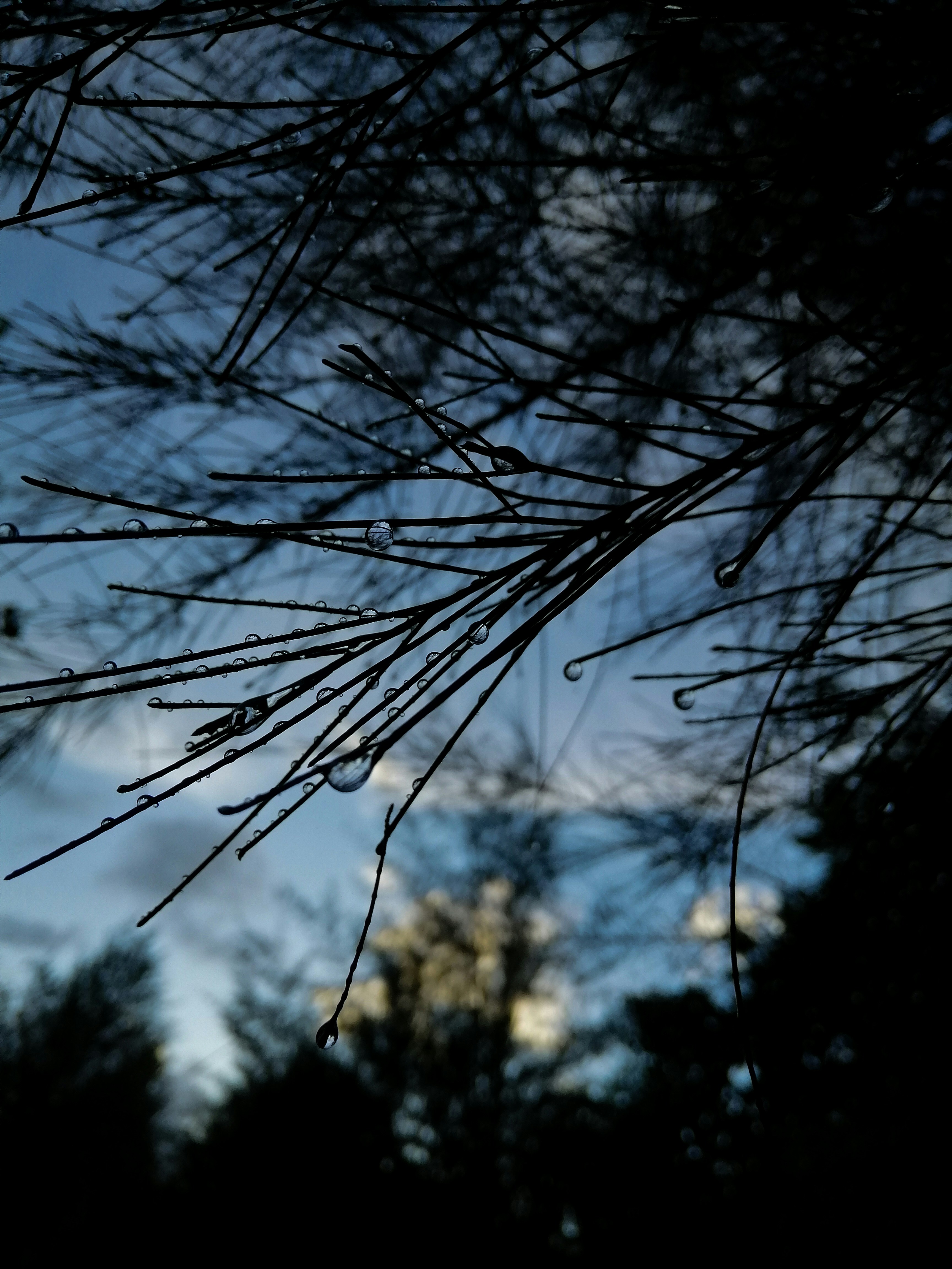 Photo by monirul_islam5