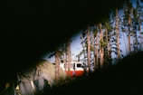 A camping scene with a tent and a red and white van surrounded by tall pine trees. The image has a partial vignette effect, giving it a mysterious and obscured appearance.