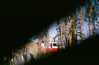 A rugged camping scene with a camper van surrounded by trees.